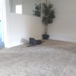 Meet your Posher, Demetrius